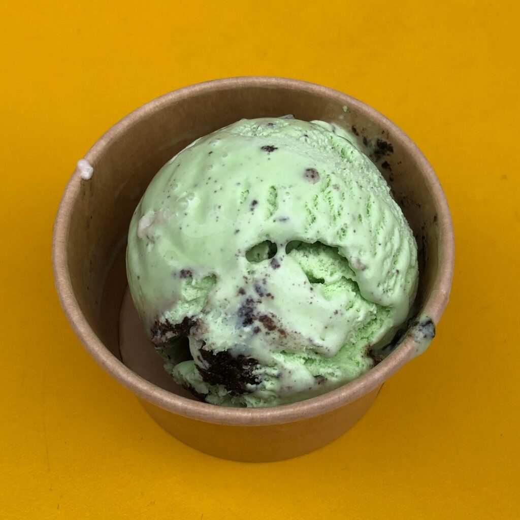 Mint Chocolate Chip